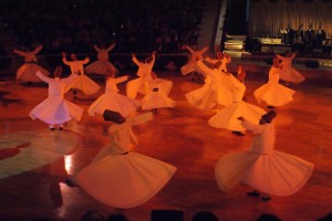 SONY DSC