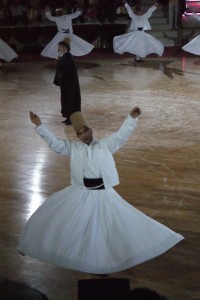 SONY DSC